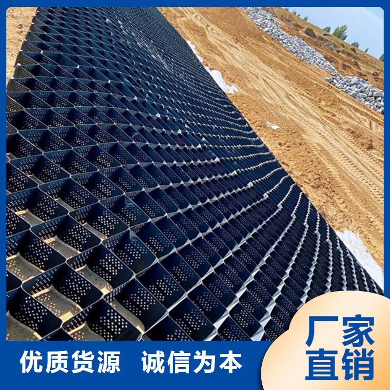 土工格室鉚接土工格室卓越品質(zhì)保障