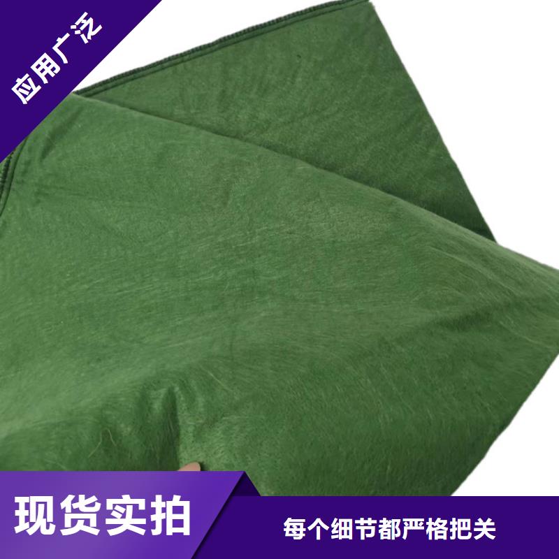 生態(tài)袋綠色生態(tài)袋優(yōu)選原材