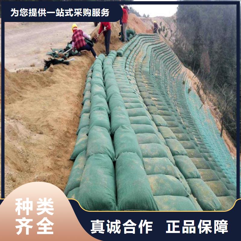 植生袋可定制規(guī)格尺寸