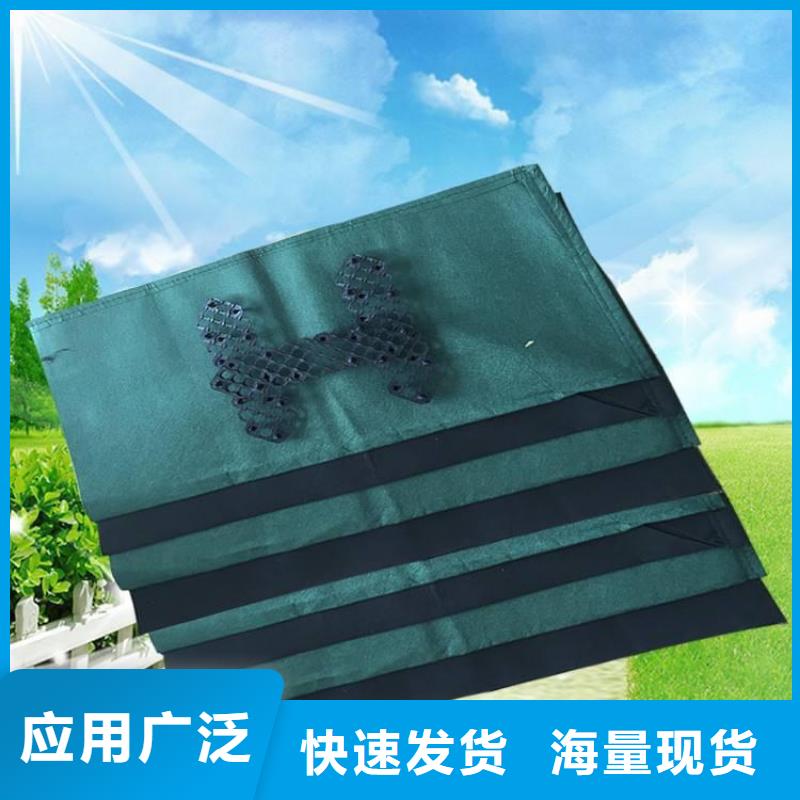 河道加固生態(tài)袋全國發(fā)貨