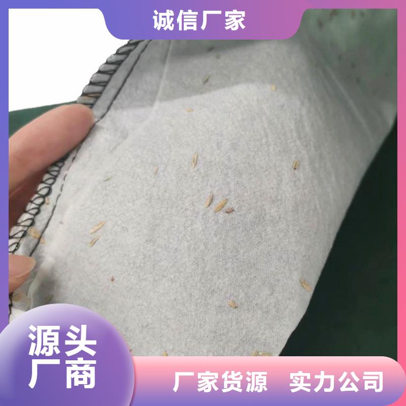 生態(tài)袋草籽植生袋貨真價實