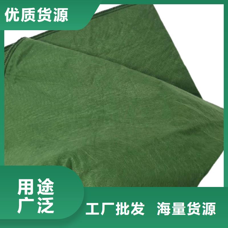 綠色生態(tài)袋工廠直銷