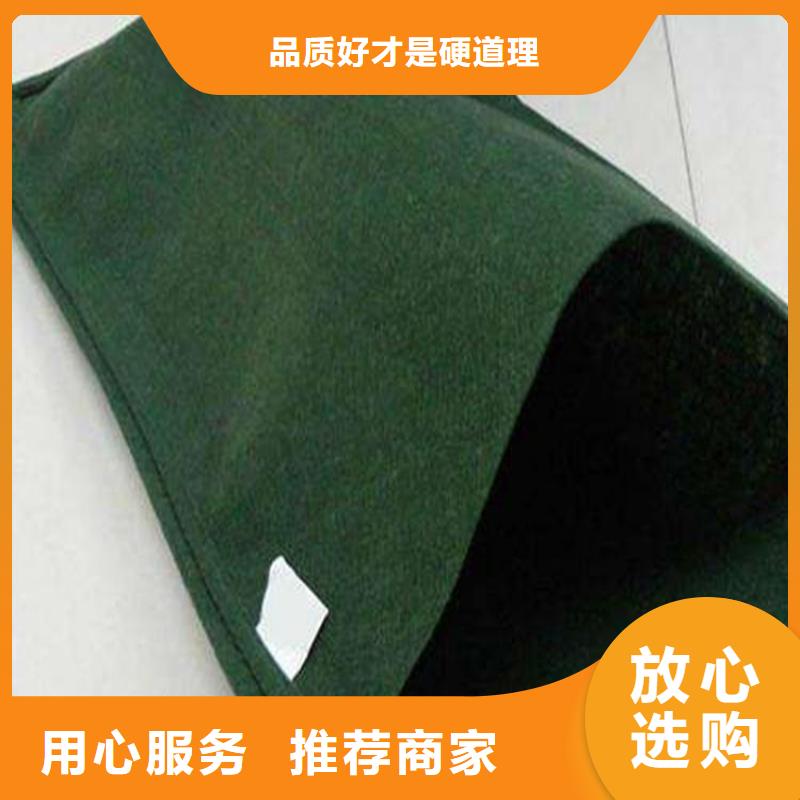 生態(tài)袋綠色生態(tài)袋優(yōu)選原材