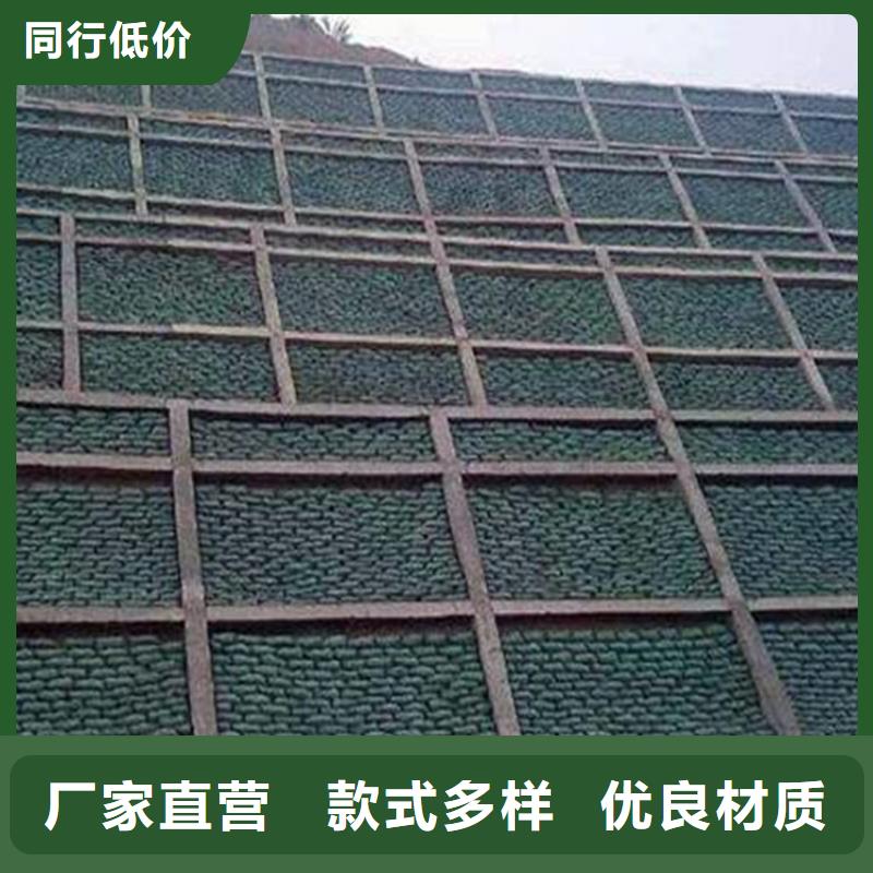 生態(tài)袋生產廠家