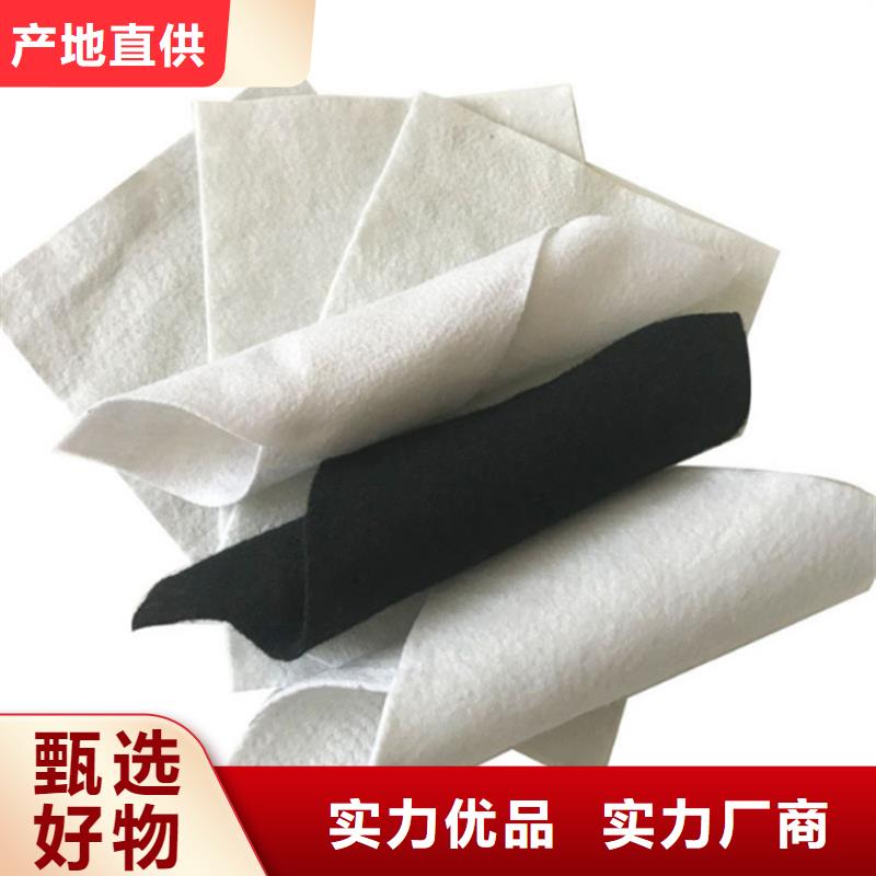 垃圾填埋場防滲膜生產(chǎn)廠家