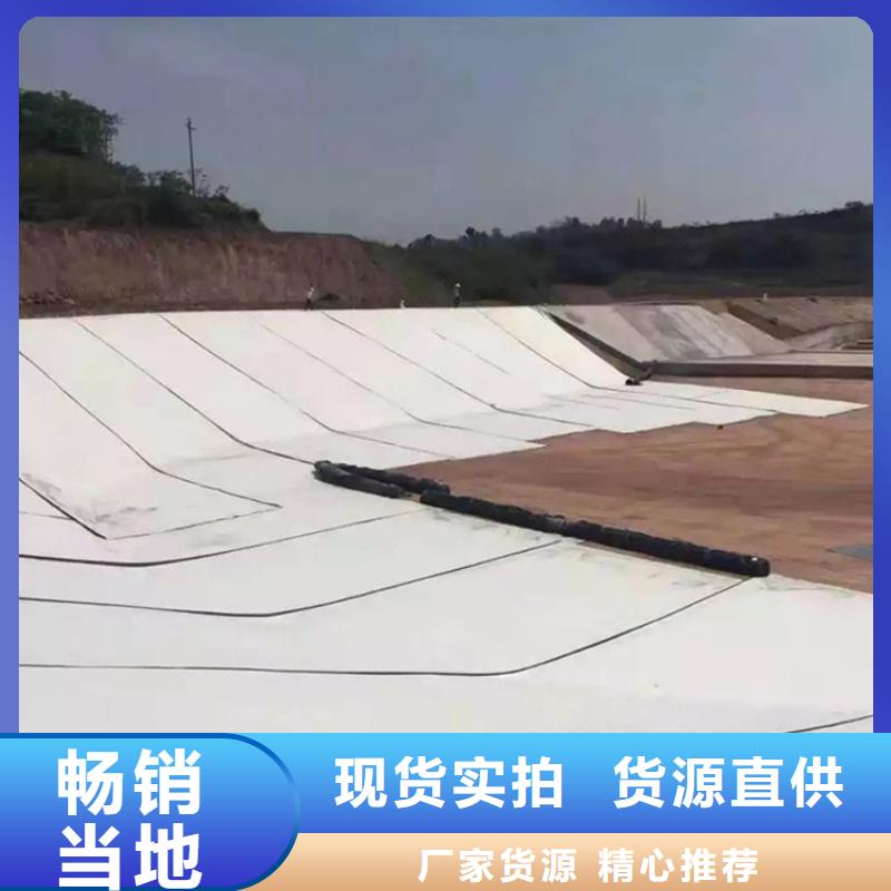 聚乙烯土工膜可定制規(guī)格尺寸
