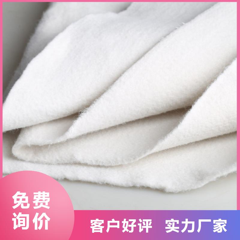 HDPE土工膜可定制規(guī)格尺寸