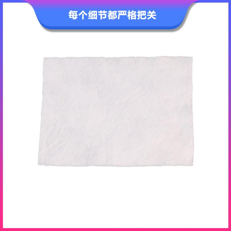 定安縣養(yǎng)護(hù)土工布現(xiàn)貨供應(yīng)