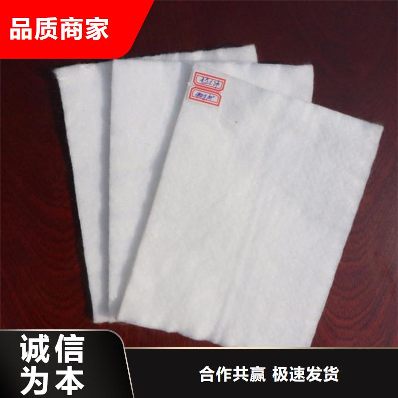 丙綸土工布量大優(yōu)惠