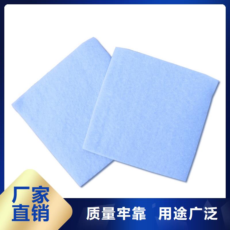 聚乙烯土工膜生產(chǎn)廠家