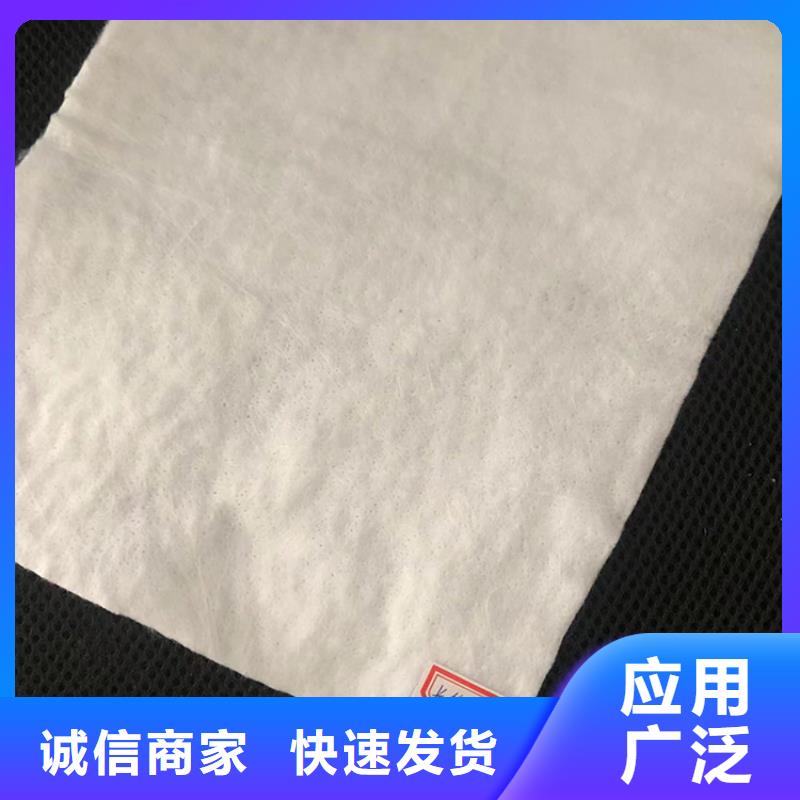 定安縣土工布型號(hào)齊全