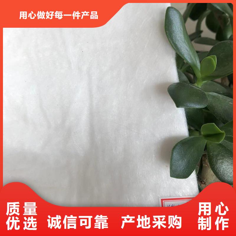 聚乙烯土工膜生產(chǎn)廠家