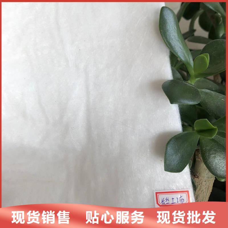 短絲土工布生產(chǎn)廠家