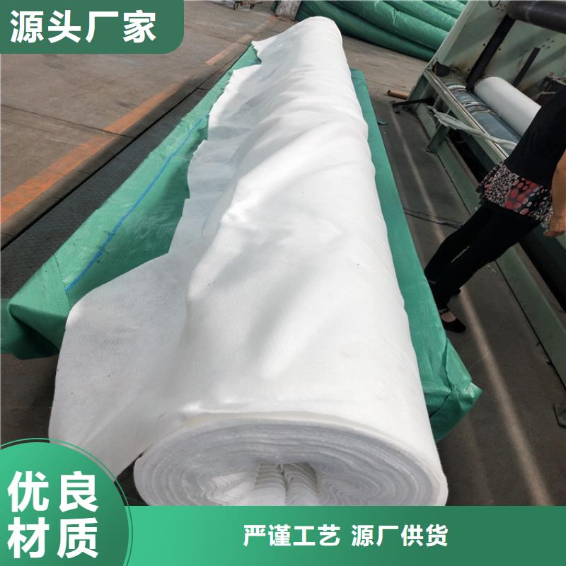 陵水縣聚酯玻纖布可定制規(guī)格尺寸