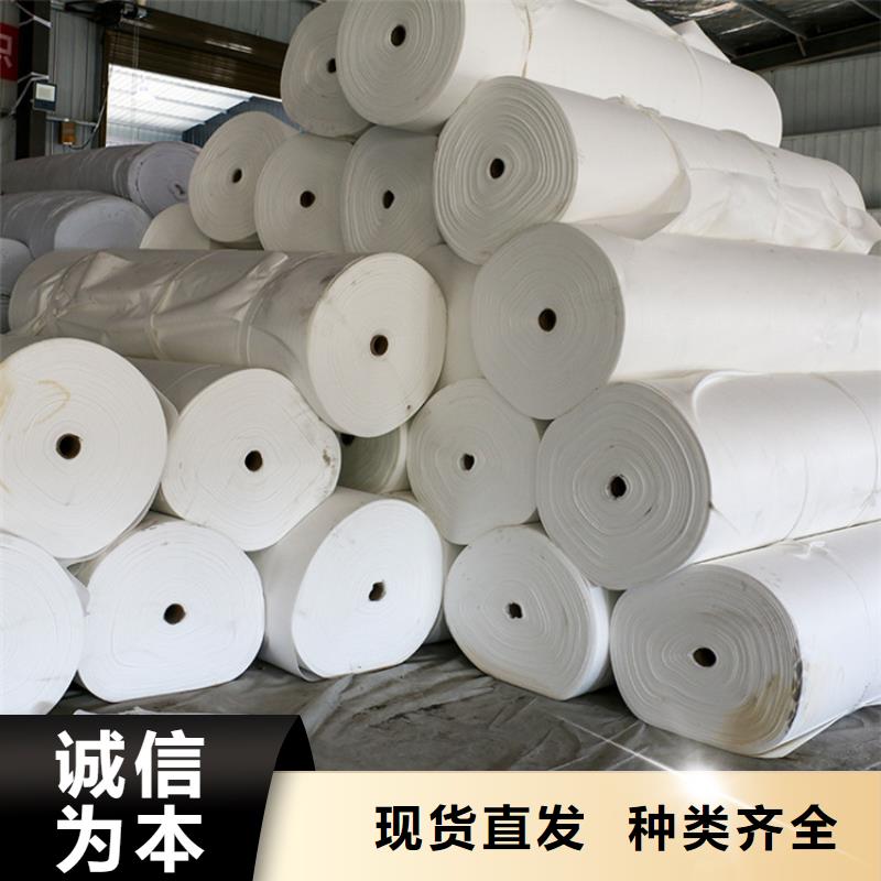 防滲土工布型號(hào)齊全