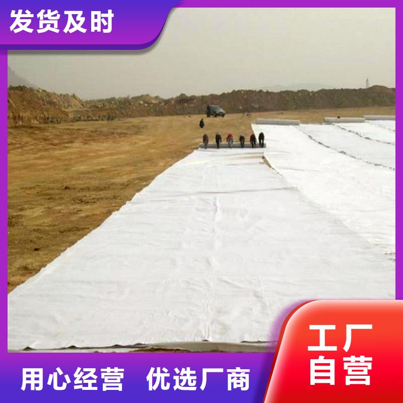 定安縣養(yǎng)護(hù)土工布現(xiàn)貨供應(yīng)