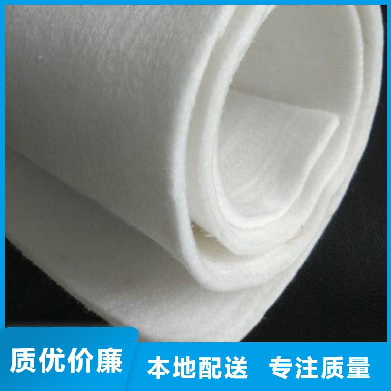 聚乙烯土工膜可定制規(guī)格尺寸