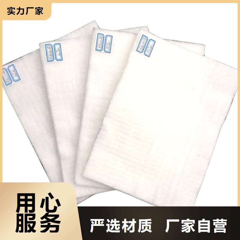 垃圾填埋場防滲膜生產(chǎn)廠家