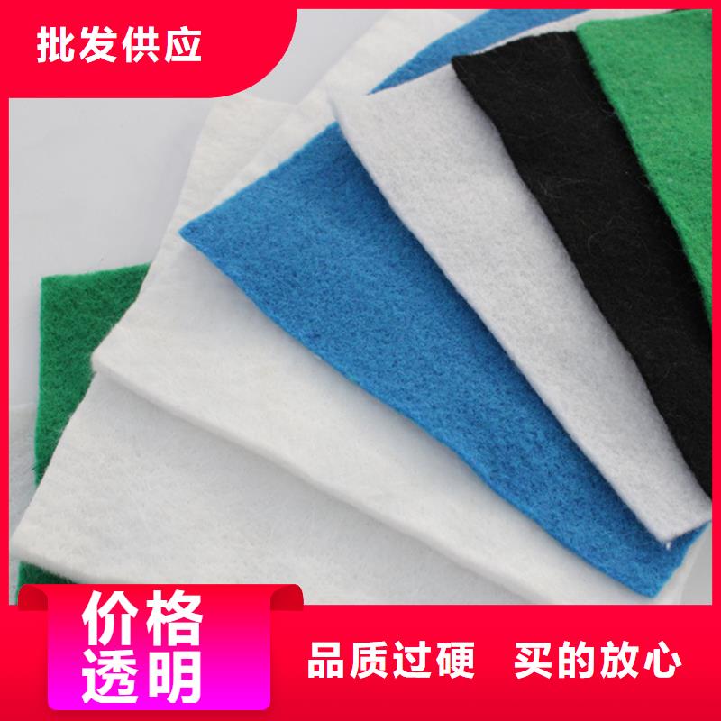 聚乙烯土工膜生產(chǎn)廠家