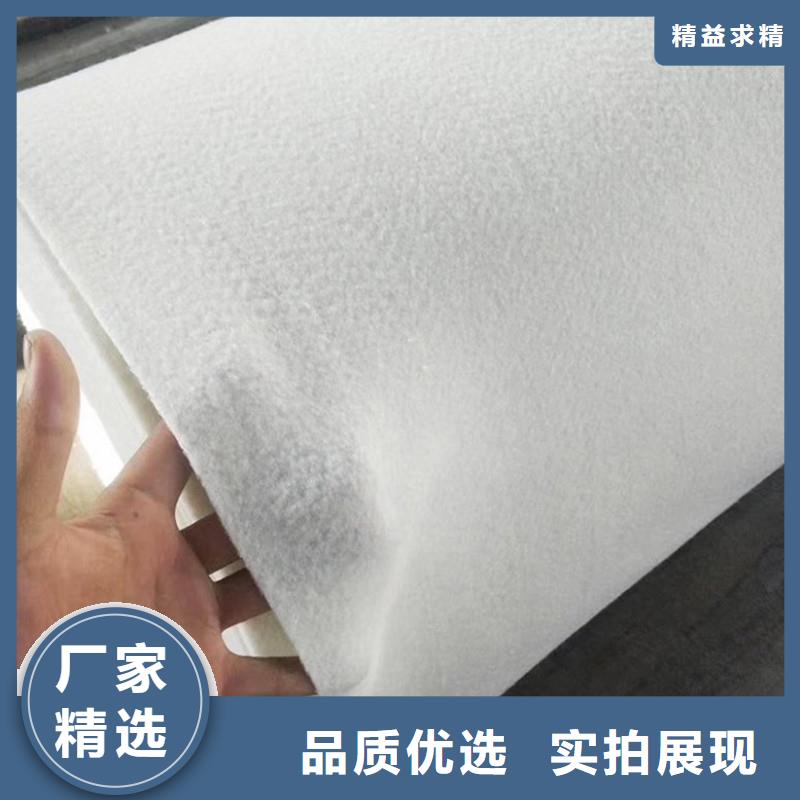 短絲土工布生產(chǎn)廠家