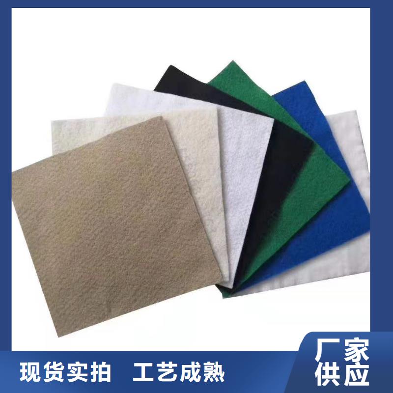 聚乙烯土工膜生產(chǎn)廠家