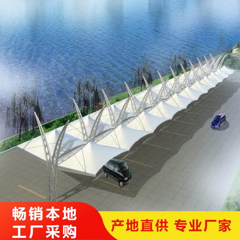 新能源充電篷/張拉膜車棚搭建