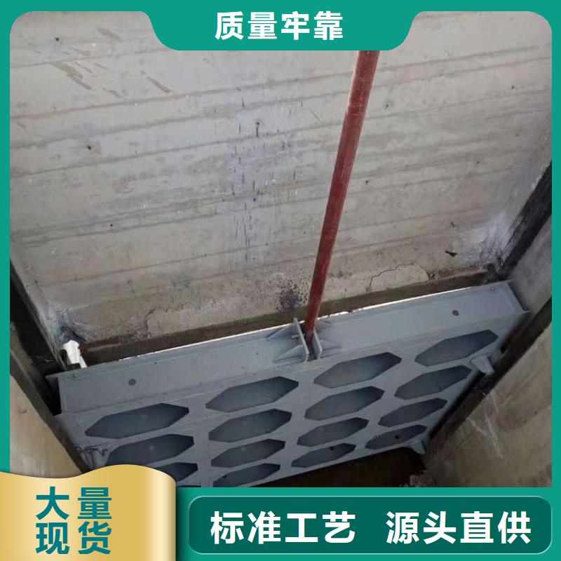 鋼制閘門,鋼制閘門品質(zhì)過(guò)硬