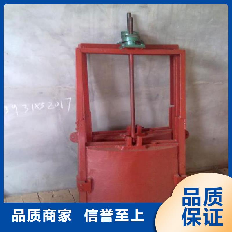 鋼制閘門-鋼制閘門量大從優(yōu)