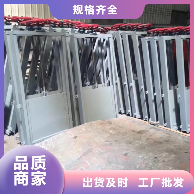 鋼制閘門鋼制閘門N年生產(chǎn)經(jīng)驗