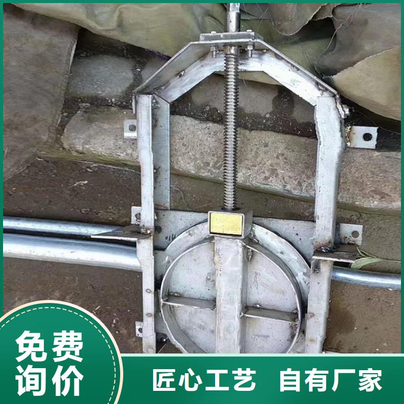 鋼制閘門,鋼制閘門實力廠家