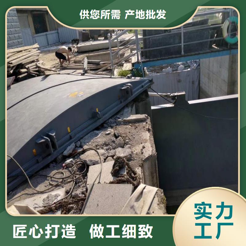 鋼制閘門,鋼制閘門品質(zhì)過(guò)硬