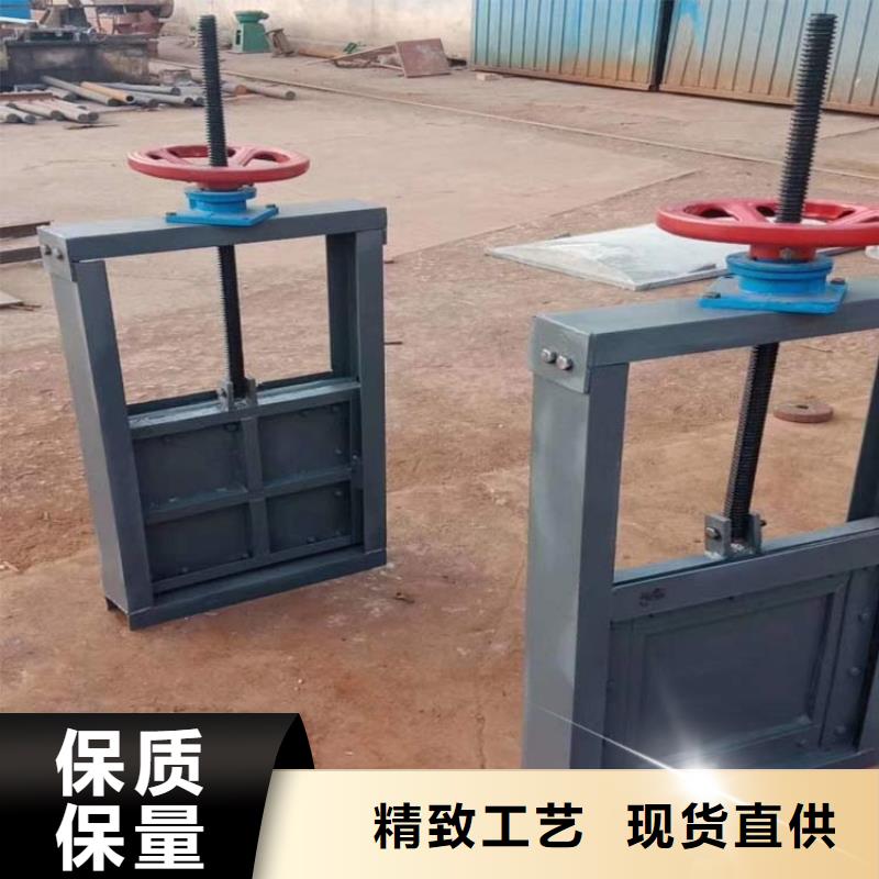 鋼制閘門-鋼制閘門量大從優(yōu)