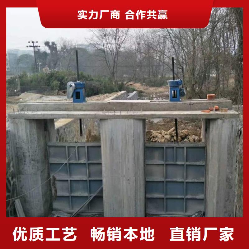 鋼制閘門鋼制閘門N年生產(chǎn)經(jīng)驗