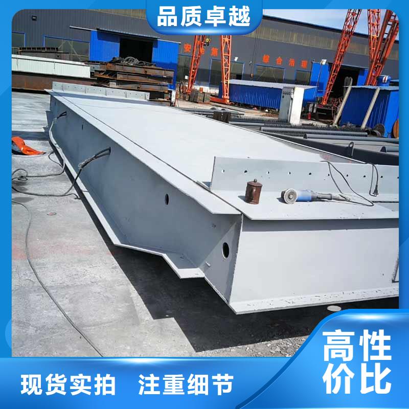 鋼制閘門,鋼制閘門實力廠家