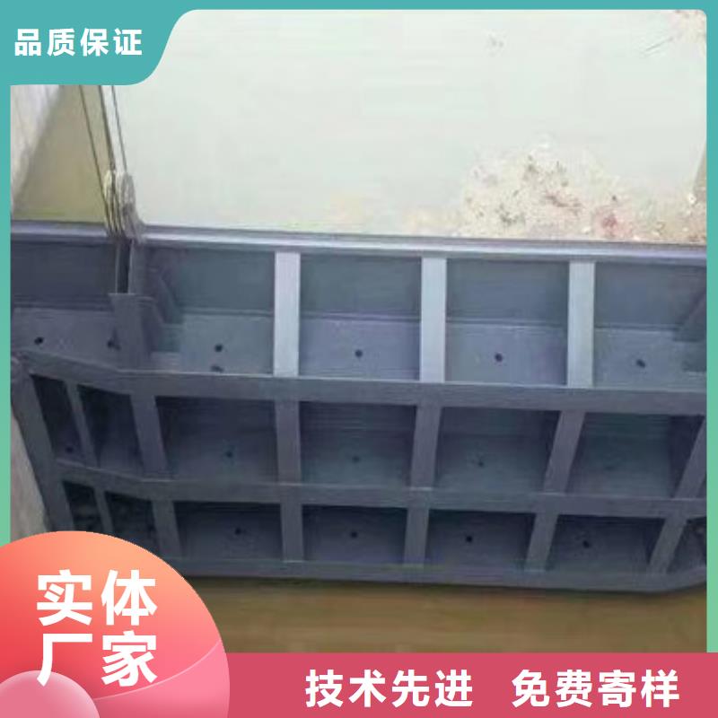 鋼制閘門(mén)-鋼制閘門(mén)量大從優(yōu)