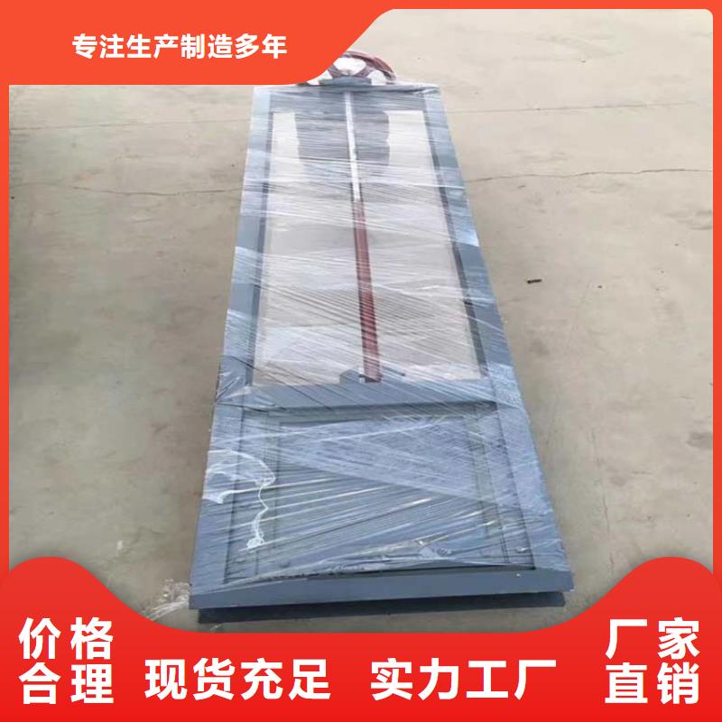 鋼制閘門-鋼制閘門廠家