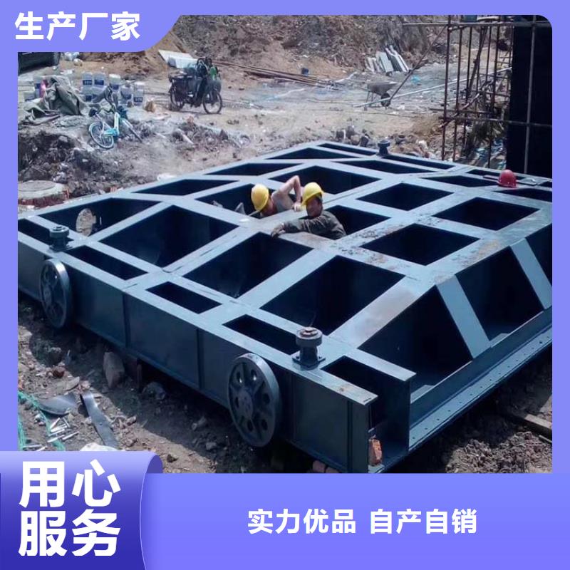 鋼制閘門,鋼制閘門實力廠家