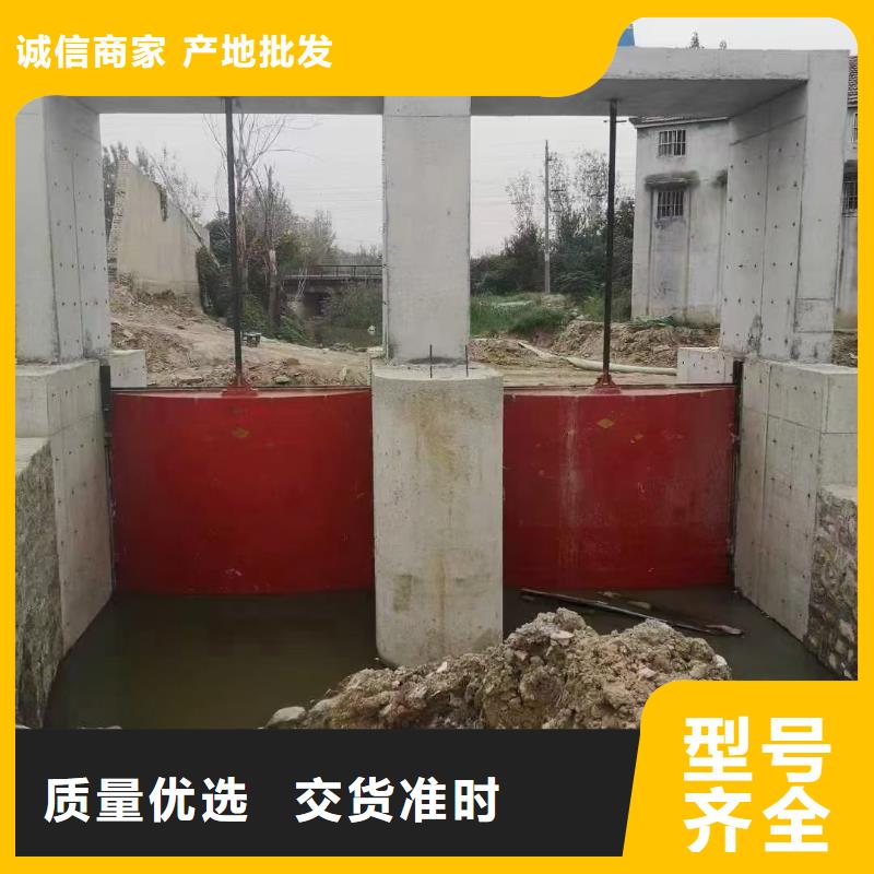 鑄鐵閘門鑄鐵閘機(jī)價(jià)格實(shí)惠