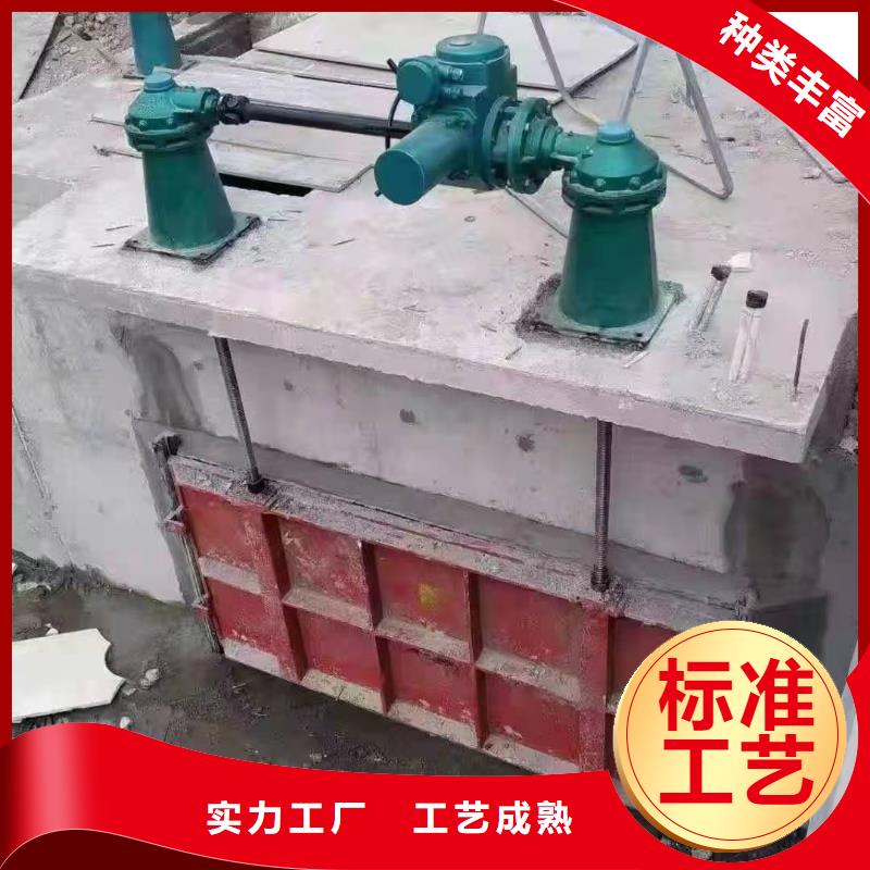 鑄鐵閘門擋水壩精心選材