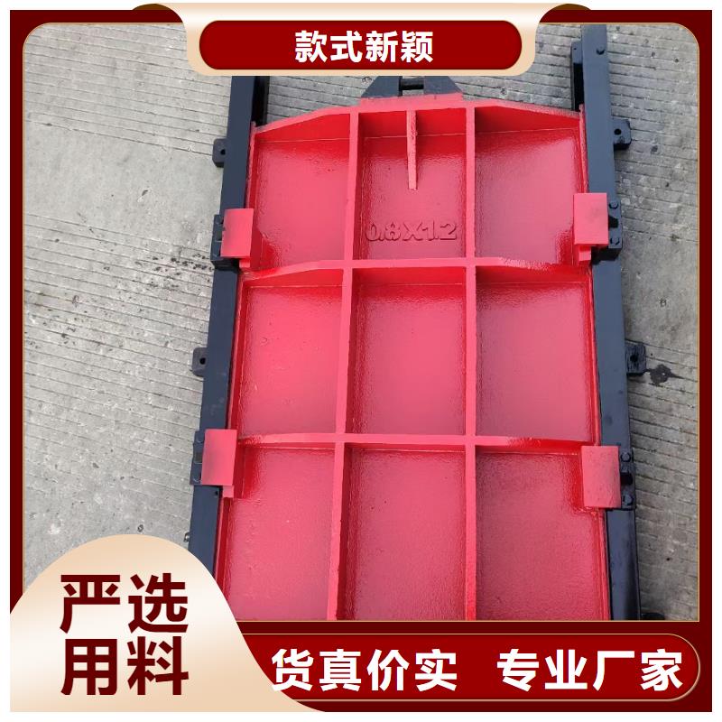 鑄鐵閘門鑄鐵閘機(jī)價(jià)格實(shí)惠