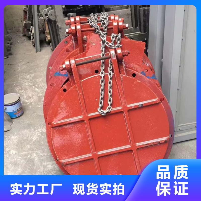 鑄鐵閘門(mén)_泵站鑄鐵閘門(mén)廠家直銷(xiāo)