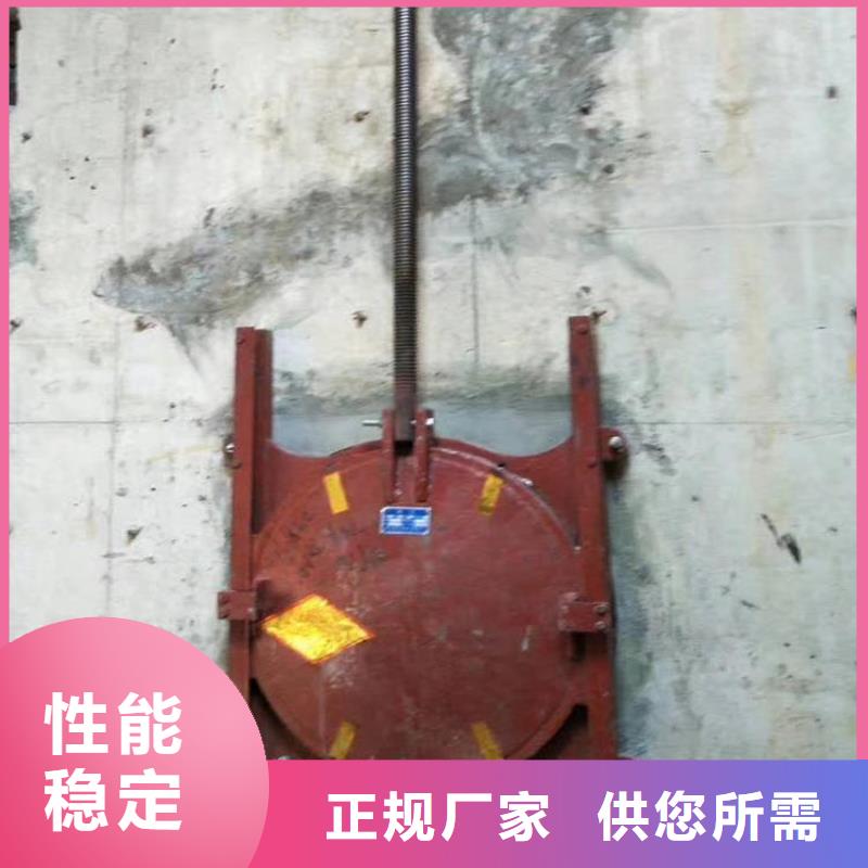 鑄鐵閘門(mén)_泵站鑄鐵閘門(mén)廠家直銷(xiāo)