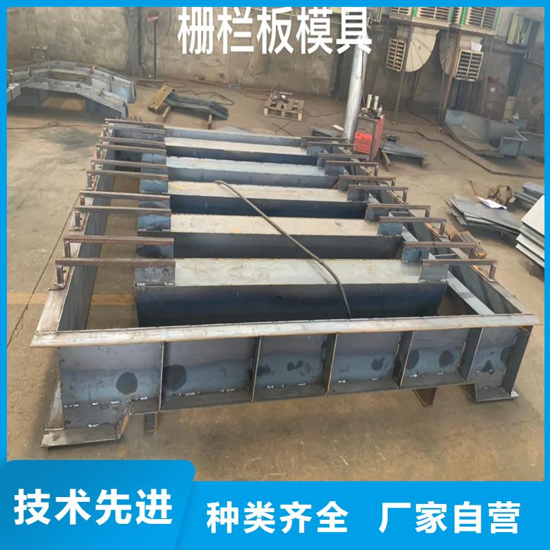 柵欄板模具擋浪柵欄板模具定制實力優(yōu)品