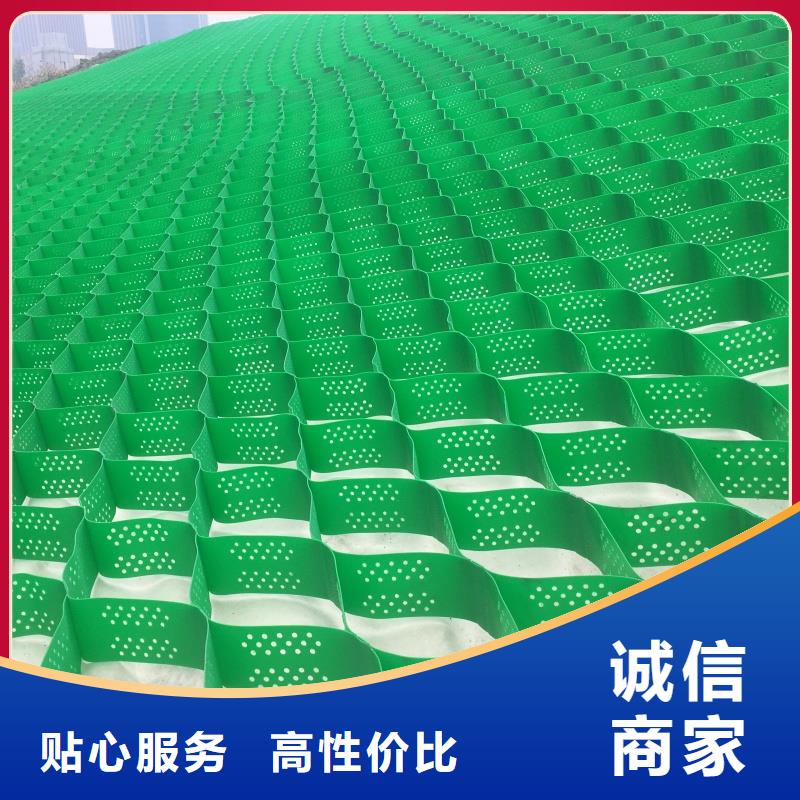 土工格室蜂巢格室六邊形護坡一站式供應