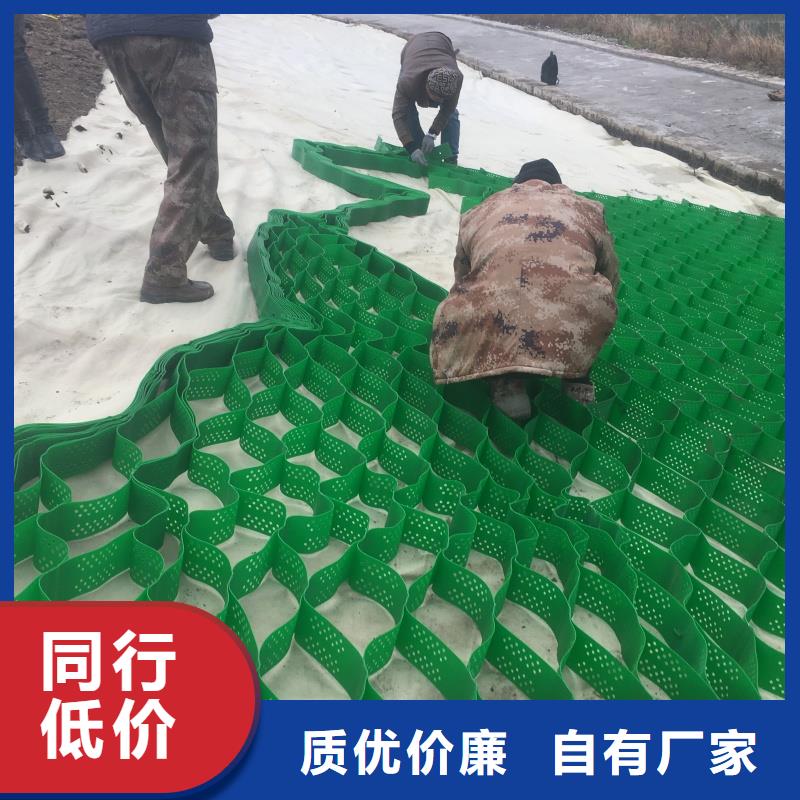 土工格室高模量蜂巢格室多種款式可隨心選擇