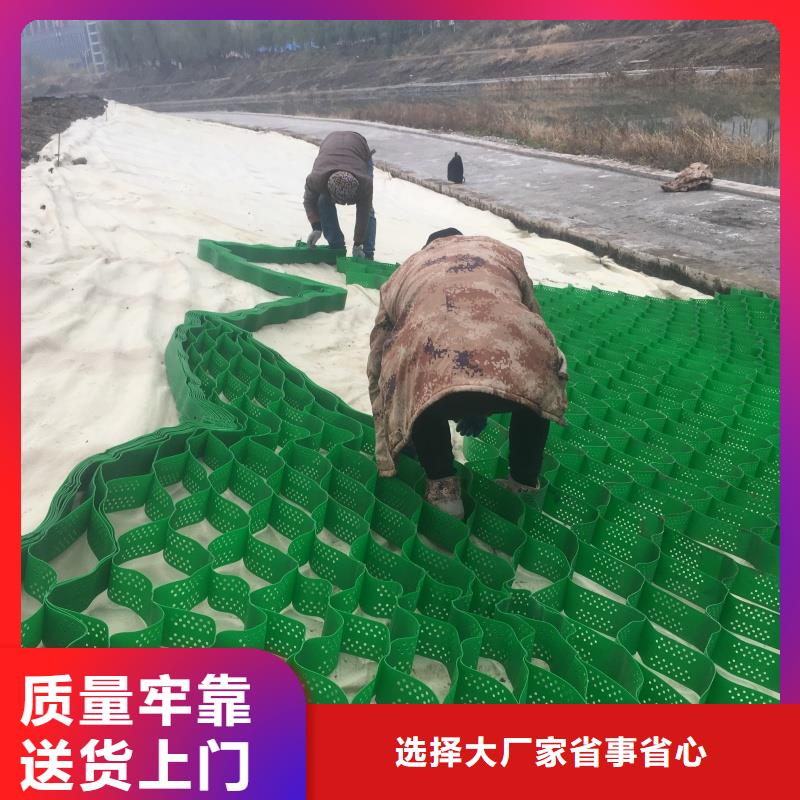 土工格室綠化用蜂巢土工格室產(chǎn)地源頭好貨