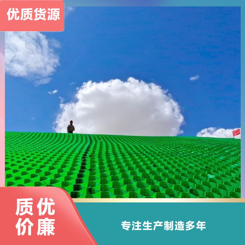 土工格室蜂巢格室價格好產(chǎn)品放心購