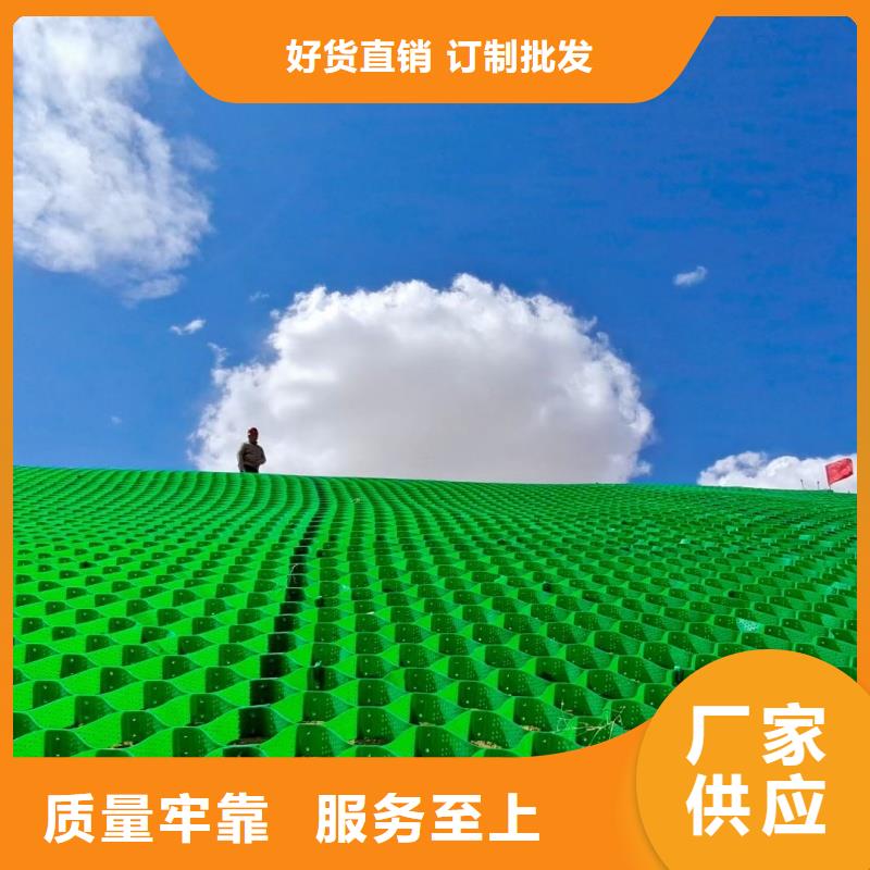 土工格室蜂巢格室巢室護坡優(yōu)選原材