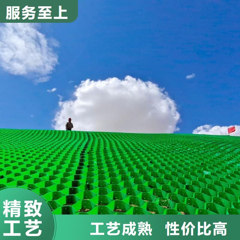 土工格室_蜂巢約束系統(tǒng)價格產(chǎn)品參數(shù)