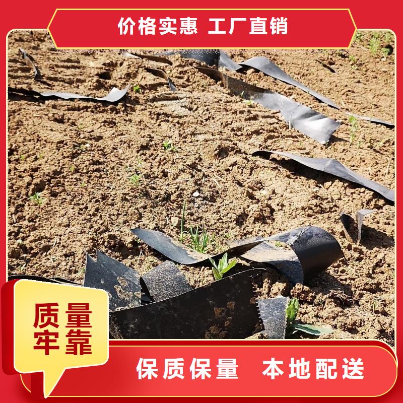 土工格室蜂巢格室價(jià)格免費(fèi)寄樣